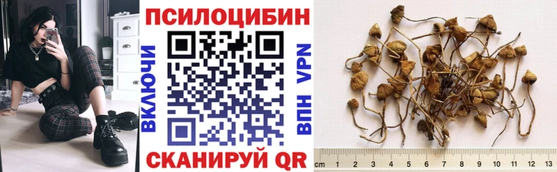 наркотики OMG рабочий сайт Галлюциногенные грибы Psilocybine cubensis Петровск-Забайкальский