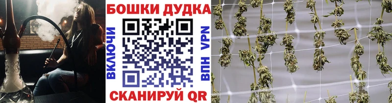 где продают   Петровск-Забайкальский  Бошки марихуана Amnesia 